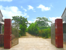 花卉苗木基地