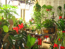 市场一角