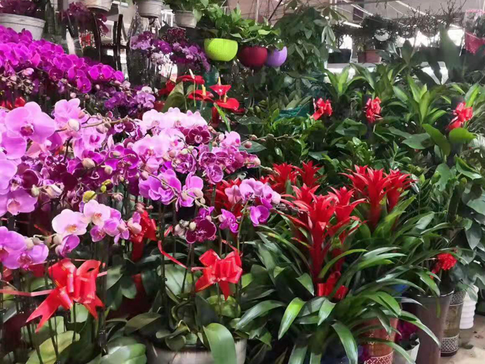 市场一角