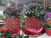 市场一角